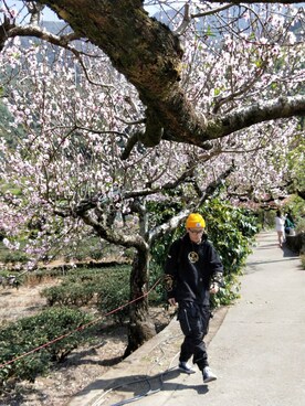 「AES（エーイーエス）のアイテム」を使った、YellowBJさん（メンズ・176cm）の冬コーディネート