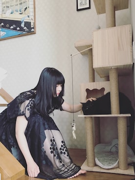 finobearさんのコーディネート