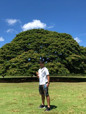 nozさんのコーディネート