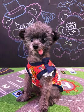 ミタ♪さんのコーディネート