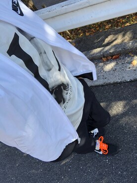 shizuku7さんのコーディネート