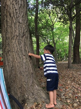 msさんのコーディネート