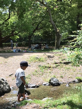 msさんのコーディネート