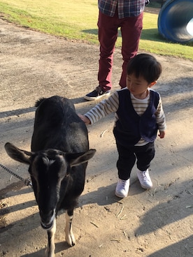 SSさん（キッズ・80cm）の秋コーディネート