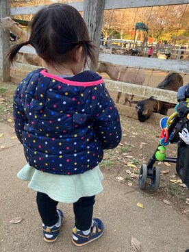 「アイテム（レッグウェア、グリーン系）」を使った、irinaさん（キッズ・80cm）の冬コーディネート