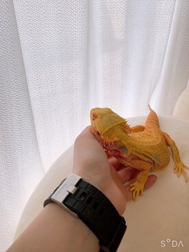 福み🦈🌻さんのコーディネート