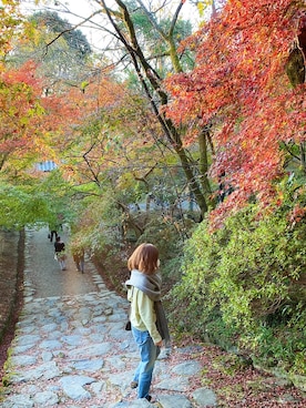 みさきさんのコーディネート