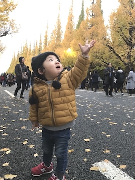 「イチョウ並木」｜「アイテム（その他）」を使った、こまめさん（キッズ・80cm）の秋コーディネート