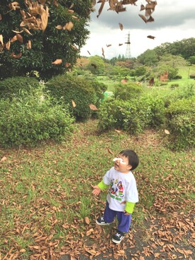 みんさんのコーディネート