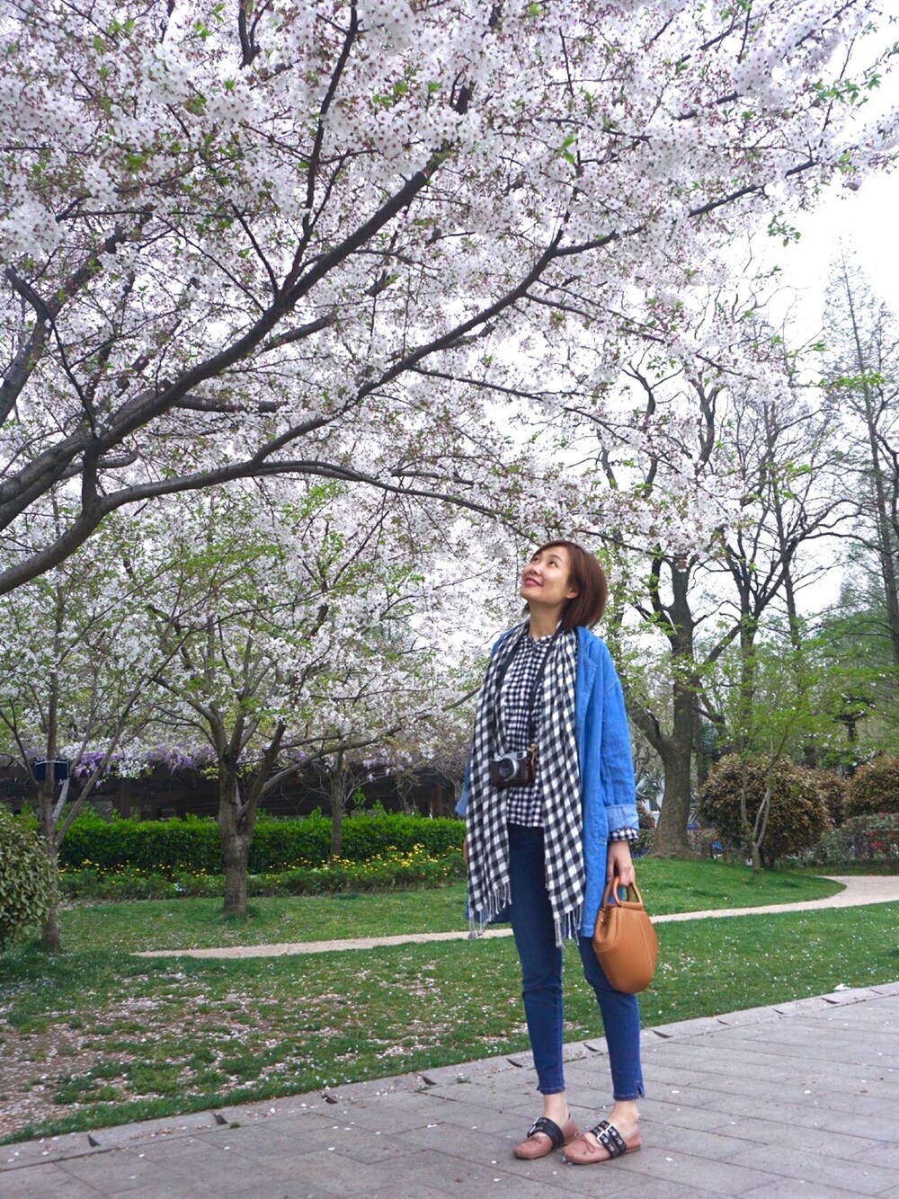 miu miu ピンク バレエシューズ 37 miu MIUMIU ミュウミュウ バレエシューズ 5F794D QU6 レディース