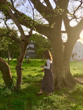 Osaya さんのコーディネート