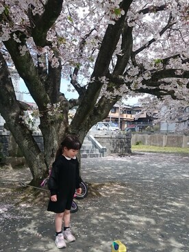 y-sさんのコーディネート