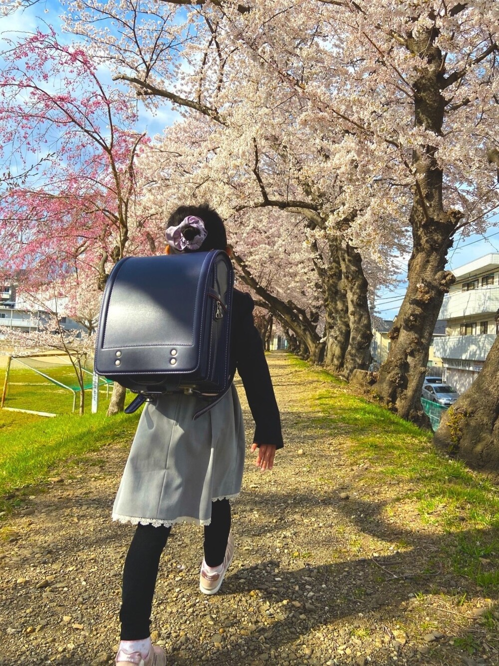 「ランドセル、入学式、コロナに負けない、桜並木、桜、小学生、ニューバランス、春コーデ」｜「土屋鞄のアイテム（ランドセル、パープル系）」を使った、moguuuさん（キッズ・80cm）の春コーディネートの1枚目の写真