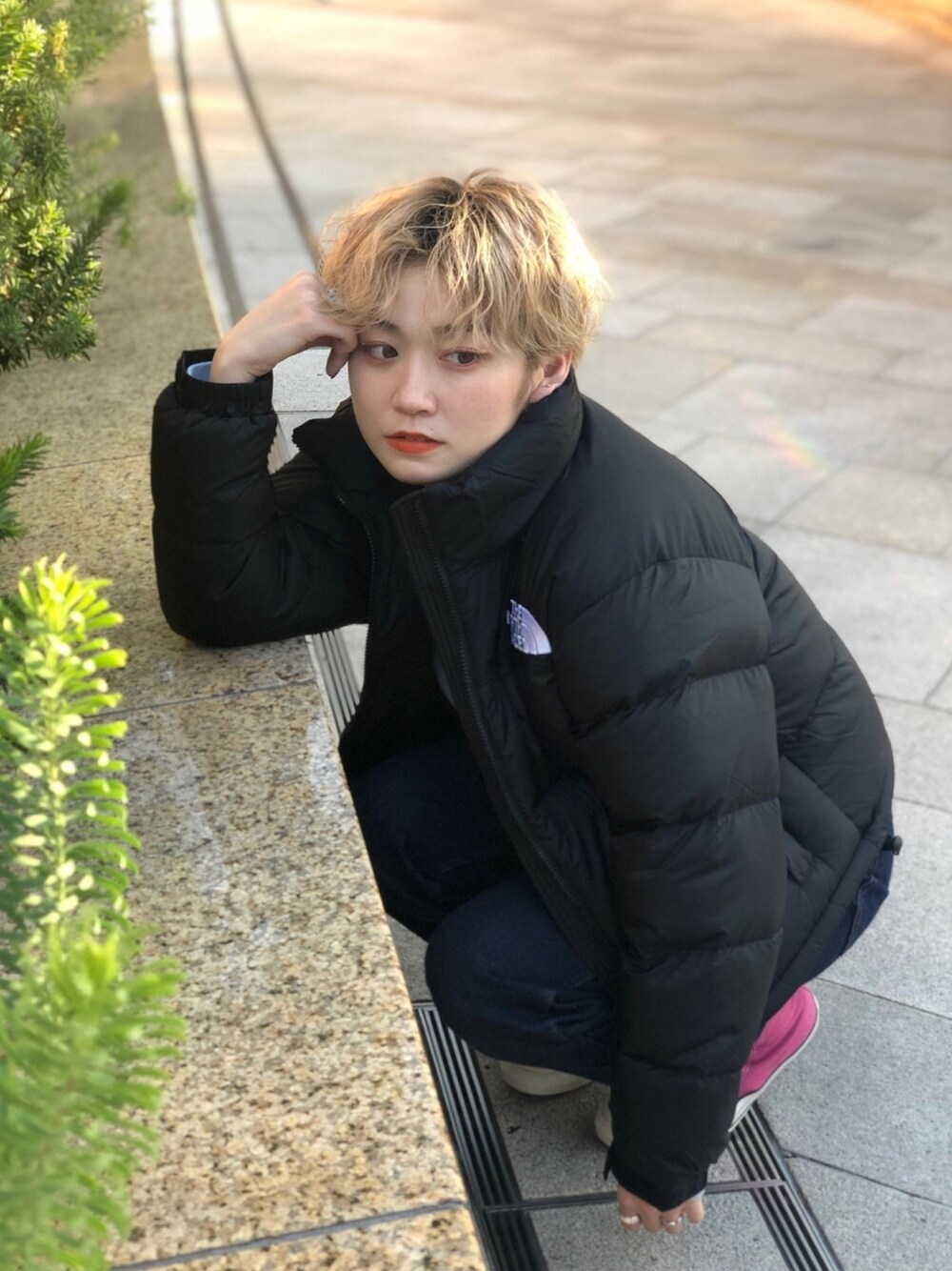 THE NORTH FACE/ザ・ノースフェイス SHORT NUPTSE JACKET ショート