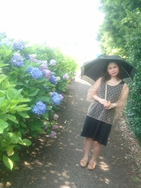 iwatäriöさん（レディース・150cm）の夏コーディネート