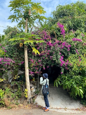 DDDさんのコーディネート