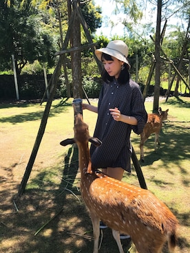 Cheさんのコーディネート