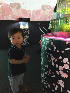 晄ちゃんさんのコーディネート