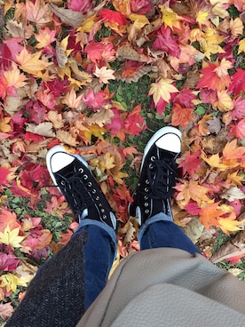 RICOさんのコーディネート