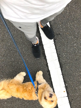 「Abercrombie&Fitch（アバークロンビーアンドフィッチ）のアイテム（Tシャツ/カットソー）」を使った、NARUさん（メンズ・171cm）の夏コーディネート