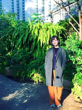 わん子さんさんのコーディネート