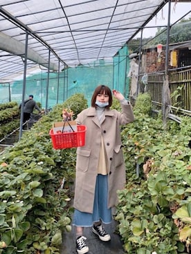 リリーさんのコーディネート