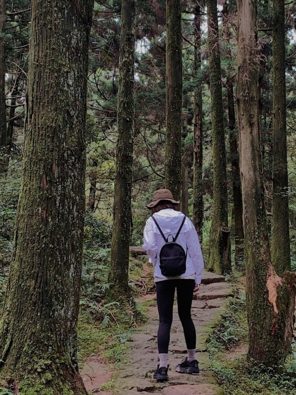 「Taiwan、TAIPEI、mountain research」｜「無印良品のアイテム（バックパック/リュック、ブラック系）」を使った、Zさん（レディース・161cm）の秋コーディネートの1枚目の写真