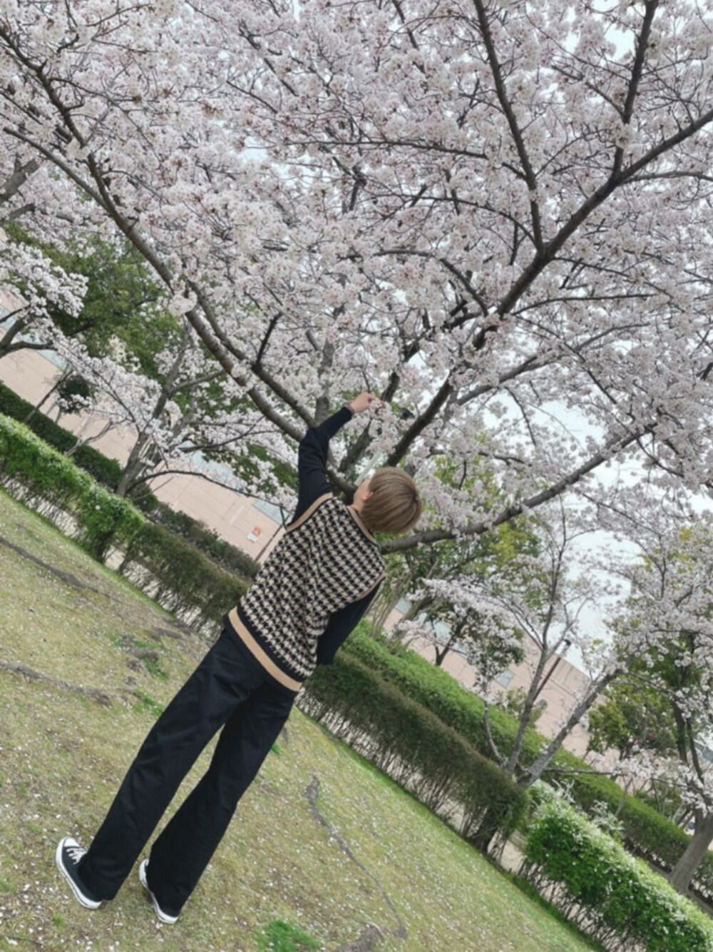 「大人カジュアル、パンツコーデ、ベスト、高身長女子、ブラック、ブラックコーデ、お花見、スニーカーコーデ、ユニクロ、ボリューム袖」｜「ZARAのアイテム（ベスト、ブラック系）」を使った、MaaaaaaKoさん（レディース・168cm）の春コーディネートの1枚目の写真