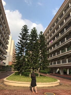 「school」｜「アイテム（ワンピース/ドレス）」を使った、穿着优衣库去上班さん（レディース・164cm）の春コーディネート