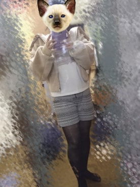 佐藤杏奈@猫の人さん(レディース・159cm)の春コーディネート