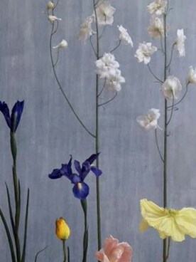 Charlotte.charlotteさんのコーディネート