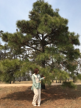 ZMMさんのコーディネート