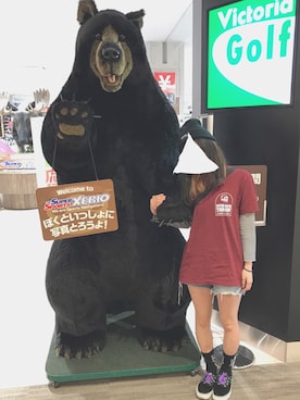 びすこさんのコーディネート