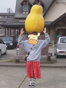 びすこさんのコーディネート