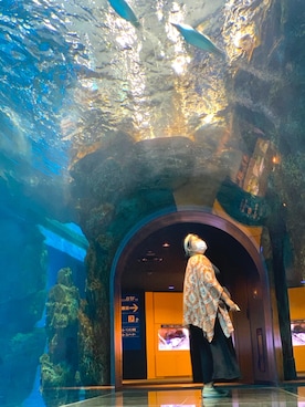 　おせつさんのコーディネート