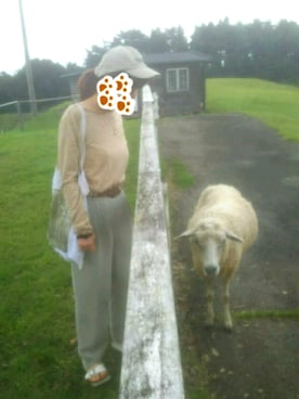 えりさん(レディース・156cm)の秋コーディネート