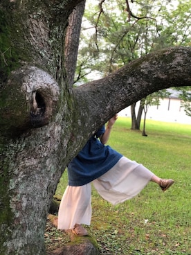 春さんのコーディネート