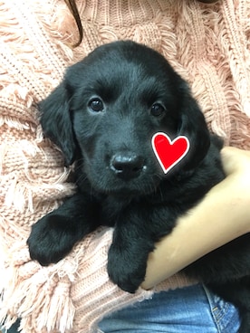 「LOVE」｜「アイテム（その他）」を使った、yukiさん（レディース・158cm）の秋コーディネート