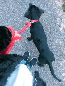 yukiさんのコーディネート