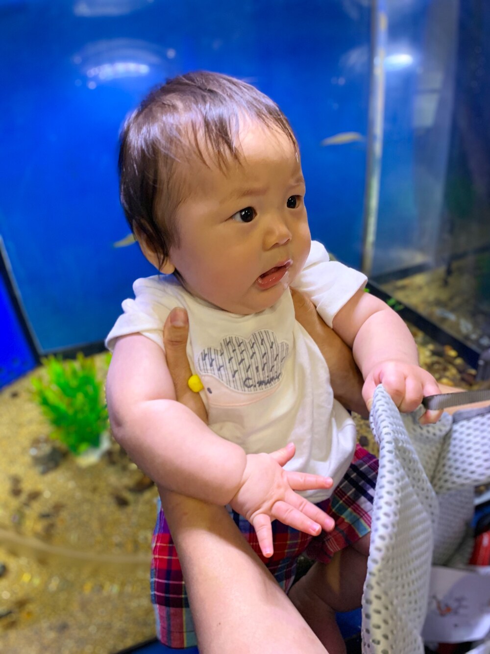 「combiminiのアイテム（Tシャツ/カットソー、ホワイト系）」を使った、icchaさん（キッズ・60cm）の夏コーディネートの1枚目の写真