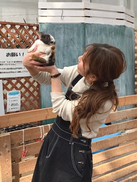 「SLOBE IENA（スローブイエナ）のアイテム（ジャンパースカート）」を使った、so_☺︎さん（レディース・153cm）の春コーディネート