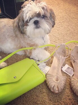 Anne Diさんのコーディネート