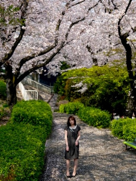 まみたんさんのコーディネート