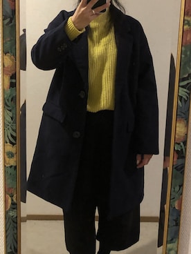 「ハニーズ」｜「アイテム（チェスターコート）」を使った、わんちゃんさん（レディース・153cm）の冬コーディネート