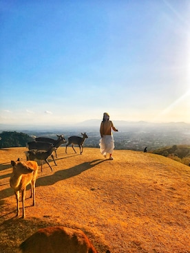 Seasonさんのコーディネート