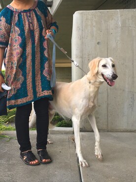 シさんのコーディネート