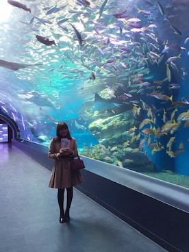 「水族館」｜「アイテム（ジャケット/アウター）」を使った、sayoさん（レディース・157cm）の春コーディネート