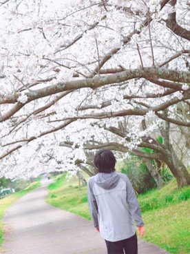 tomatonattouさんのコーディネート