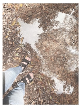 うゐ(ui)さんのコーディネート