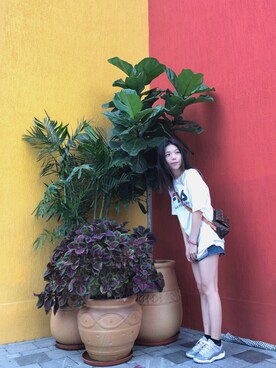 Reiさんのコーディネート